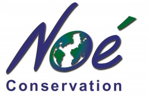 Noé Conservation