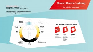 SyndEclairage - LightingEurope - Human Centric Lighting - Infographie 2